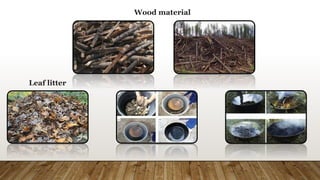 Wood material
Leaf litter
