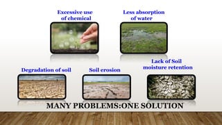 Excessive use
of chemical
Less absorption
of water
Degradation of soil Soil erosion
Lack of Soil
moisture retention
MANY PROBLEMS:ONE SOLUTION