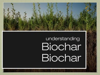 understanding
Biochar
Biochar