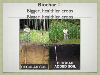 Biochar =
Bigger, healthier crops
Bigger, healthier crops
BIOCHAR
REGULAR SOIL ADDED SOIL