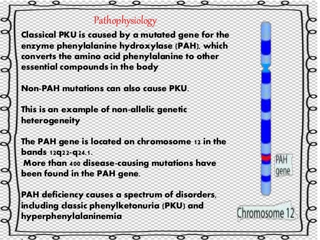 phenylketonuria