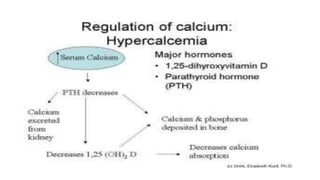 Calciphan Function SOURCES ,BIOCHEMICAL FUNCTION AND CLINICAL SIGNIFICANCES OF CALCIUM AND ...