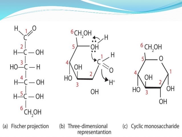 Monosaccharide Chemical Structure