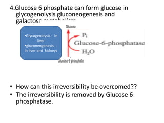 Sources And Fate Of Glucose 6 Phosphate | PPTX