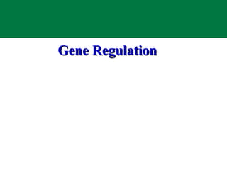 Gene Regulation 