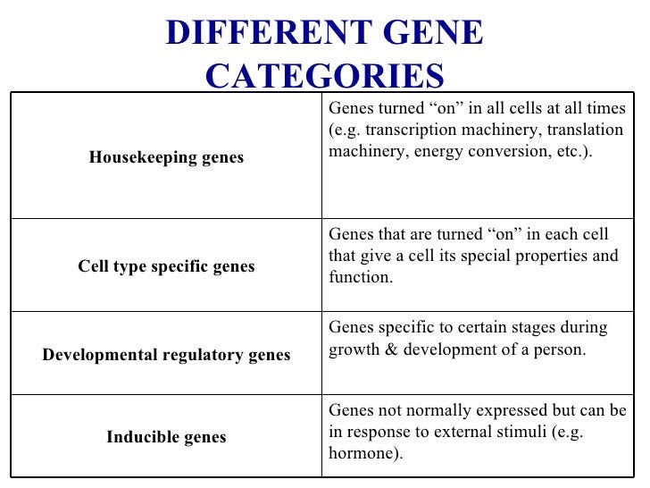 Biochem gene expression regulation(29.6.10)