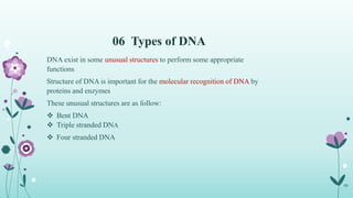 06 Types of DNA
09
DNA exist in some unusual structures to perform some appropriate
functions
Structure of DNA is important for the molecular recognition of DNA by
proteins and enzymes
These unusual structures are as follow:
 Bent DNA
 Triple stranded DNA
 Four stranded DNA
 