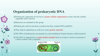 Organization of prokaryotic DNA
 Prokaryotic organisms do not have a proper cellular organization as they lack the cellular
organelles and a nucleus
 Bacterias are included in this group
 Prokaryotic cells do not have a nucleus but they contain DNA and RNA
 They help in replication as well as to carry genetic materials
 The DNA of prokaryotes are present in a non-membrane bound structure called nucleoid
 The DNA is organized in a single double stranded form in a loop or circle.it is present in
a direct contact with cytoplasm.
21
 