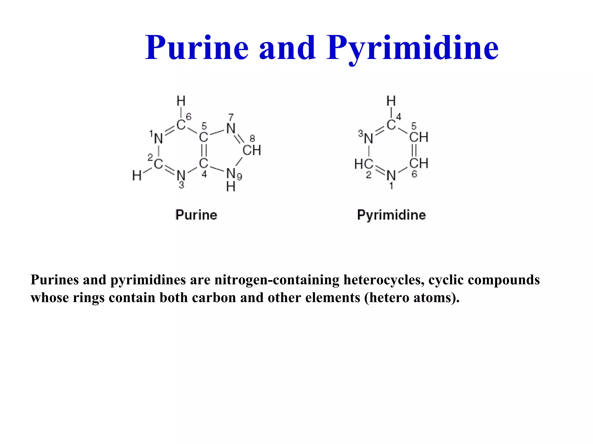 Purine and Pyrimidine Purines and pyrimidines are nitrogen-containing heterocycles, cyclic compounds whose rings contain both carbon and other elements (hetero atoms).
