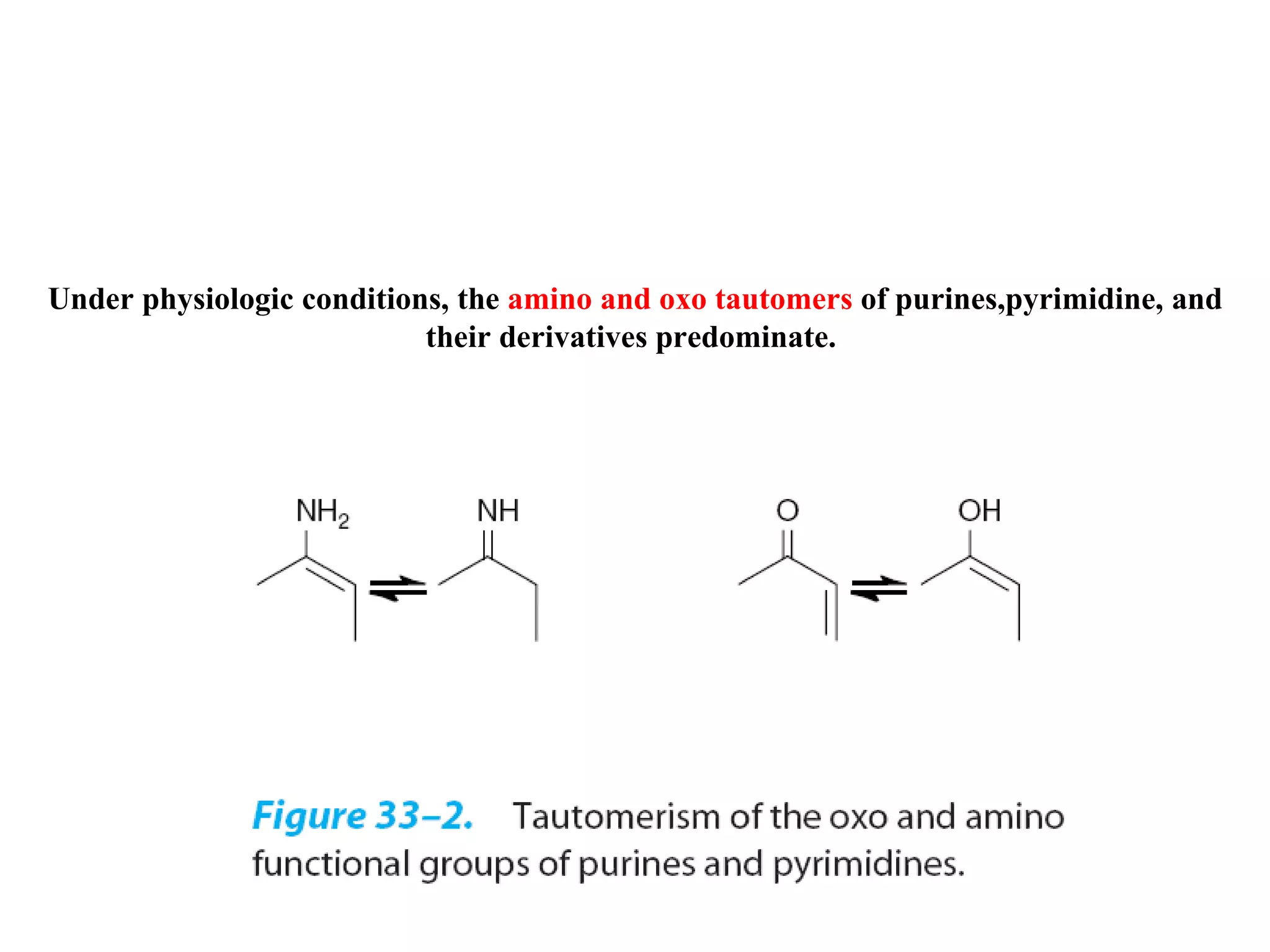 Under physiologic conditions, the amino and oxo tautomers of purines,pyrimidine, and their derivatives predominate.