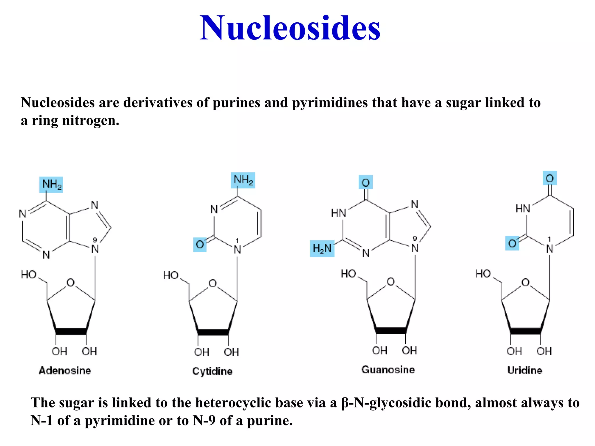 Nucleosides Nucleosides are derivatives of purines and pyrimidines that have a sugar linked to a ring nitrogen. The sugar is linked to the heterocyclic base via a β -N-glycosidic bond, almost always to N-1 of a pyrimidine or to N-9 of a purine.