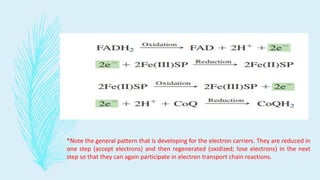 *Note the general pattern that is developing for the electron carriers. They are reduced in
one step (accept electrons) and then regenerated (oxidized; lose electrons) in the next
step so that they can again participate in electron transport chain reactions.
 