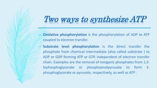 Two ways to synthesize ATP
– Oxidative phosphorylation is the phosphorylation of ADP to ATP
coupled to electron transfer.
– Substrate level phosphorylation is the direct transfer the
phosphate from chemical intermediate (also called substrate ) to
ADP or GDP forming ATP or GTP, independent of electron transfer
chain. Examples are the removal of inorganic phosphates from 1,3-
biphosphoglycerate or phosphoenolpyruvate to form 3-
phosphoglycerate or pyruvate, respectively, as well as ATP .
 