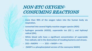 – more than 90% of the oxygen taken into the human body via
respiration.
– converted into several highly reactive oxygen species (ROS)
– hydrogen peroxide (H2O2), superoxide ion (O2 ), and hydroxyl
radical (OH).
– White blood cells have a significant concentration of superoxide
free radicals; aid in the destruction of invading bacteria and viruses.
– 2O2 + NADPH 2O2- + NADP+ + H+
– (NADP is a phosphorylated version of the coenzyme NADH)
 