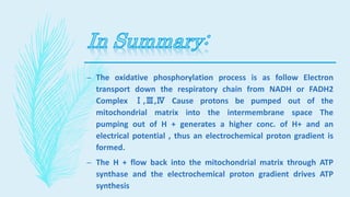 – The oxidative phosphorylation process is as follow Electron
transport down the respiratory chain from NADH or FADH2
Complex Ⅰ,Ⅲ,Ⅳ Cause protons be pumped out of the
mitochondrial matrix into the intermembrane space The
pumping out of H + generates a higher conc. of H+ and an
electrical potential , thus an electrochemical proton gradient is
formed.
– The H + flow back into the mitochondrial matrix through ATP
synthase and the electrochemical proton gradient drives ATP
synthesis
 