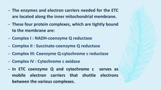 – The enzymes and electron carriers needed for the ETC
are located along the inner mitochondrial membrane.
– These four protein complexes, which are tightly bound
to the membrane are:
– Complex I : NADH-coenzyme Q reductase
– Complex II : Succinate-coenzyme Q reductase
– Complex III: Coenzyme Q-cytochrome c reductase
– Complex IV : Cytochrome c oxidase
– In ETC coenzyme Q and cytochrome c serves as
mobile electron carriers that shuttle electrons
between the various complexes.
 
