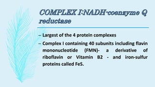– Largest of the 4 protein complexes
– Complex I containing 40 subunits including flavin
mononucleotide (FMN)- a derivative of
riboflavin or Vitamin B2 - and iron-sulfur
proteins called FeS.
 