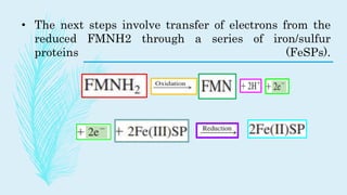 • The next steps involve transfer of electrons from the
reduced FMNH2 through a series of iron/sulfur
proteins (FeSPs).
 
