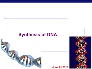 2007-2008 Synthesis of DNA June.21.2010 