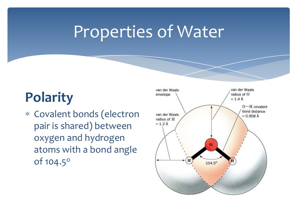 Water Biochemistry