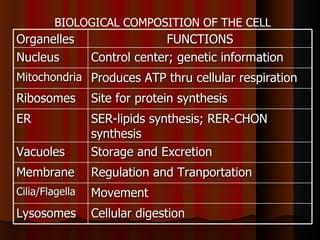 BIOLOGICAL COMPOSITION OF THE CELL
Organelles                     FUNCTIONS
Nucleus          Control center; genetic information
Mitochondria Produces ATP thru cellular respiration
Ribosomes        Site for protein synthesis
ER               SER-lipids synthesis; RER-CHON
                 synthesis
Vacuoles         Storage and Excretion
Membrane         Regulation and Tranportation
Cilia/Flagella   Movement
Lysosomes        Cellular digestion
 