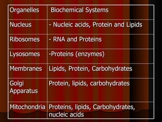 Organelles    Biochemical Systems

Nucleus       - Nucleic acids, Protein and Lipids

Ribosomes     - RNA and Proteins

Lysosomes     -Proteins (enzymes)

Membranes     Lipids, Protein, Carbohydrates

Golgi         Protein, lipids, carbohydrates
Apparatus

Mitochondria Proteins, lipids, Carbohydrates,
             nucleic acids
 