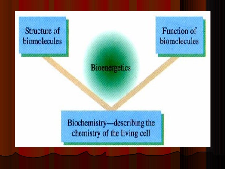 Biochem1