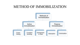 METHOD OF IMMOBILIZATION
 