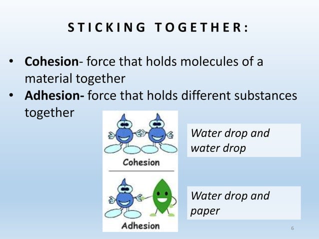 Biochem 1 water notes | PPTX | Chemistry | Science