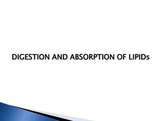 DIGESTION AND ABSORPTION OF LIPIDs
 