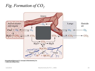 Fig. Formation of CO2
19
2/3/2023 Biochemistry for PC-1 , AMU
 