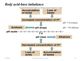 Body acid-base imbalance
2/3/2023 Biochemistry for PC-1 , AMU 28
pH< 7.35 acidosis
pH > 7.45 alkalosis
 