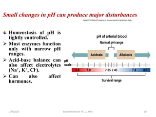 Small changes in pH can produce major disturbances
Homeostasis of pH is
tightly controlled.
 Most enzymes function
only with narrow pH
ranges.
 Acid-base balance can
also affect electrolytes
(Na+, K+, Cl-).
 Can also affect
hormones.
2/3/2023 Biochemistry for PC-1 , AMU 29
 