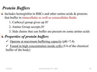 Protein Buffers
Includes hemoglobin in RBCs and other amino acids & proteins
that buffer in intracellular as well as extracellular fluids.
1. Carboxyl group gives up H+
2. Amino Group accepts H+
3. Side chains that can buffer are present on some amino acids
Properties of protein buffers
 Operate at maximum buffering capacity (pK=7.4)
 Found in high concentration inside cells (3/4 of the chemical
buffer of the body)
2/3/2023 Biochemistry for PC-1 , AMU 40
 