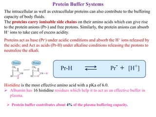 Protein Buffer Systems
The intracellular as well as extracellular proteins can also contribute to the buffering
capacity of body fluids.
The proteins carry ionisable side chains on their amino acids which can give rise
to the protein anions (Pr-) and free protons. Similarly, the protein anions can absorb
H+ ions to take care of excess acidity.
Proteins act as base (Pr-) under acidic conditions and absorb the H+ ions released by
the acids; and Act as acids (Pr-H) under alkaline conditions releasing the protons to
neutralize the alkali.
Histidine is the most effective amino acid with a pKa of 6.0.
 Albumin has 16 histidine residues which help it to act as an effective buffer in
plasma.
 Protein buffer contributes about 4% of the plasma buffering capacity.
Pr-H Pr- + [H+]
 