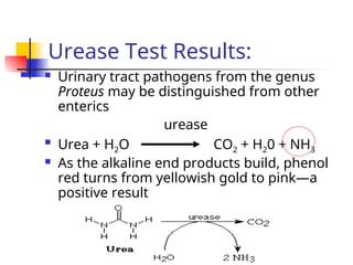 biochem2.ppt biochemistry and genetics lecture | PPT