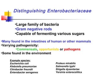 Biochem2 (1) | PPT