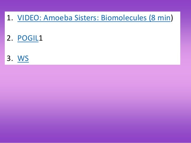 Biochem 2 macromolecules notes