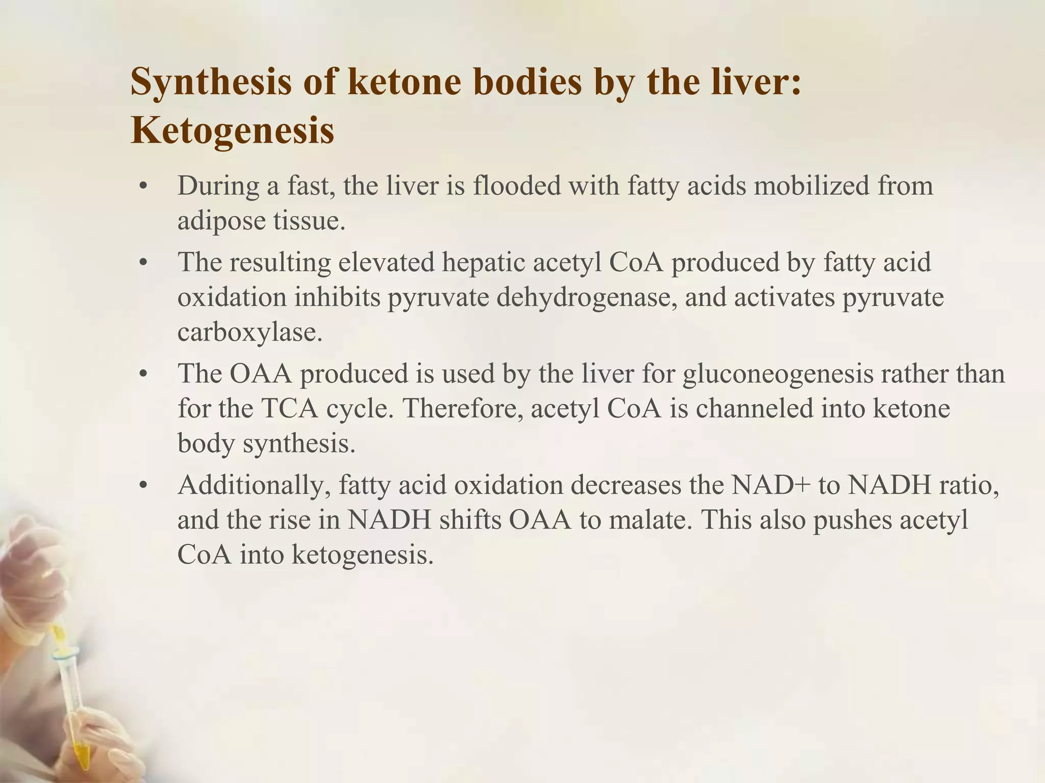 Lipid Metabolism, Energy yield from fatty acid oxidation & ketone ...