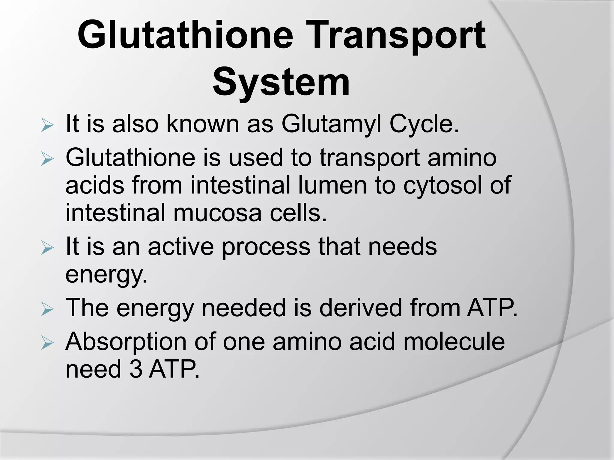 glutathione transporting amino acids Absorption of proteins ppt 色:透明色 Tatio Active Dx 12g b_att_tex_Cream