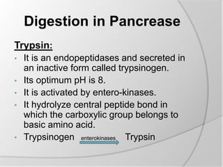 Digestion in Pancrease
Trypsin:
• It is an endopeptidases and secreted in
an inactive form called trypsinogen.
• Its optimum pH is 8.
• It is activated by entero-kinases.
• It hydrolyze central peptide bond in
which the carboxylic group belongs to
basic amino acid.
• Trypsinogen enterokinases Trypsin
 
