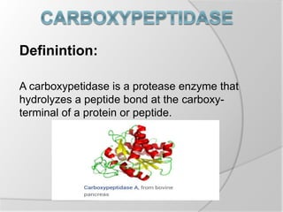 Definintion:
A carboxypetidase is a protease enzyme that
hydrolyzes a peptide bond at the carboxy-
terminal of a protein or peptide.
 