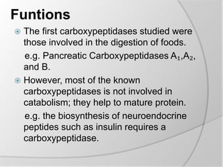 Funtions
 The first carboxypeptidases studied were
those involved in the digestion of foods.
e.g. Pancreatic Carboxypeptidases A₁,A₂,
and B.
 However, most of the known
carboxypeptidases is not involved in
catabolism; they help to mature protein.
e.g. the biosynthesis of neuroendocrine
peptides such as insulin requires a
carboxypeptidase.
 