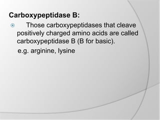 Carboxypeptidase B:
 Those carboxypeptidases that cleave
positively charged amino acids are called
carboxypeptidase B (B for basic).
e.g. arginine, lysine
 