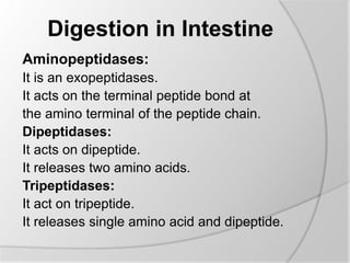 Digestion in Intestine
Aminopeptidases:
It is an exopeptidases.
It acts on the terminal peptide bond at
the amino terminal of the peptide chain.
Dipeptidases:
It acts on dipeptide.
It releases two amino acids.
Tripeptidases:
It act on tripeptide.
It releases single amino acid and dipeptide.
 
