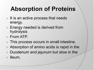 Absorption of Proteins
 It is an active process that needs
energy.
 Energy needed is derived from
hydrolysis
 From ATP.
 This process occurs in small intestine.
 Absorption of amino acids is rapid in the
 Duodenum and jejunum but slow in the
 Ileum.
 