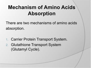Mechanism of Amino Acids
Absorption
There are two mechanisms of amino acids
absorption.
1. Carrier Protein Transport System.
2. Glutathione Transport System
(Glutamyl Cycle).
 