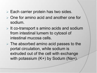  Each carrier protein has two sides.
 One for amino acid and another one for
sodium.
 It co-transport s amino acids and sodium
from intestinal lumem to cytosol of
intestinal mucosa cells.
 The absorbed amino acid passes to the
portal circulation, while sodium is
extruded out of the cell with exchange
with potassium (K+) by Sodum (Na+).
 