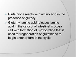  Glutathione reacts with amino acid in the
presence of glutacyl.
 Glutamyl amino acid releases amino
acid in the cytosol of intestinal mucosa
cell with formation of 5-oxoproline that is
used for regeneration of glutathione to
begin another turn of the cycle.
 