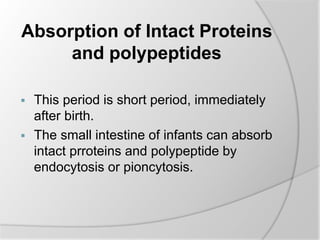 Absorption of Intact Proteins
and polypeptides
 This period is short period, immediately
after birth.
 The small intestine of infants can absorb
intact prroteins and polypeptide by
endocytosis or pioncytosis.
 